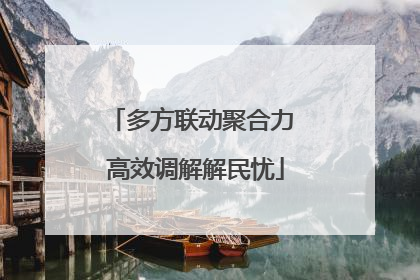 多方联动聚合力 高效调解解民忧
