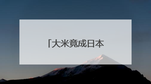 大米竟成日本游客赴韩旅游“纪念品”