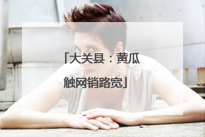 大关县：黄瓜触网销路宽
