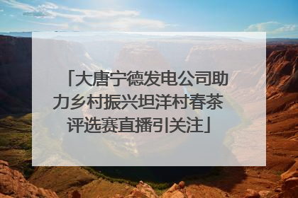 大唐宁德发电公司助力乡村振兴坦洋村春茶评选赛直播引关注