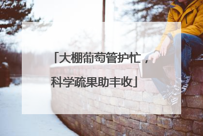 大棚葡萄管护忙，科学疏果助丰收