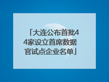 大连公布首批44家设立首席数据官试点企业名单