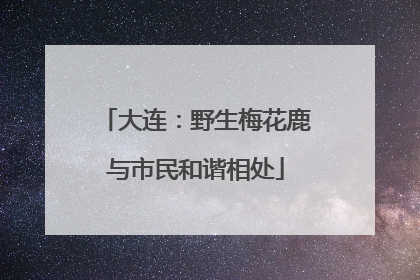大连：野生梅花鹿与市民和谐相处