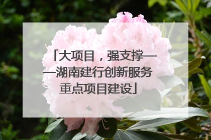 大项目，强支撑——湖南建行创新服务重点项目建设