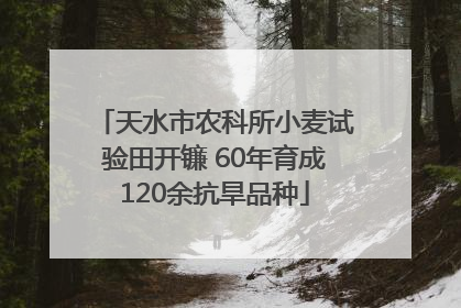 天水市农科所小麦试验田开镰 60年育成120余抗旱品种