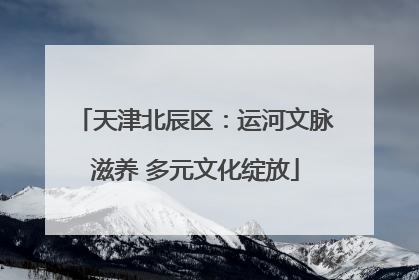 天津北辰区：运河文脉滋养 多元文化绽放