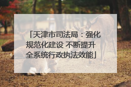 天津市司法局：强化规范化建设 不断提升全系统行政执法效能