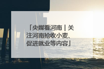 央媒看河南｜关注河南抢收小麦、促进就业等内容