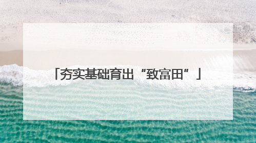 夯实基础育出“致富田”