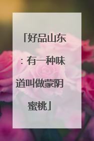 好品山东：有一种味道叫做蒙阴蜜桃