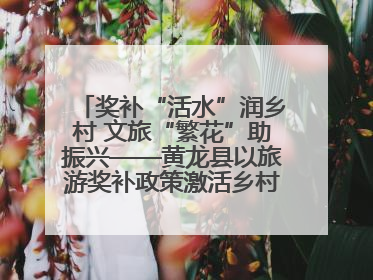 奖补“活水”润乡村 文旅“繁花”助振兴——黄龙县以旅游奖补政策激活乡村振兴新动能
