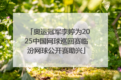 奥运冠军李婷为2025中国网球巡回赛临汾网球公开赛助兴