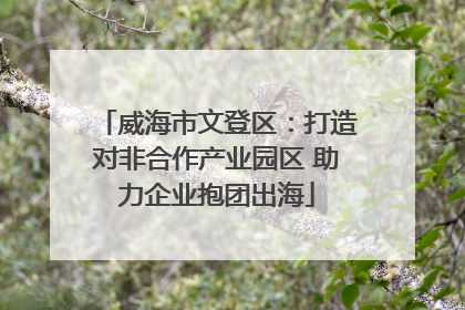 威海市文登区：打造对非合作产业园区 助力企业抱团出海