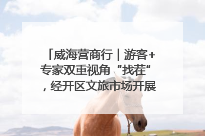 威海营商行｜游客+专家双重视角“找茬”，经开区文旅市场开展暑期前“体检”