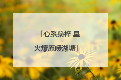心系桑梓 星火燎原暖湖塘