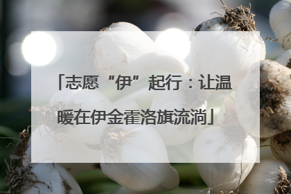 志愿“伊”起行：让温暖在伊金霍洛旗流淌