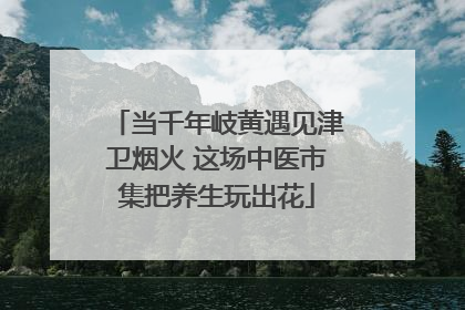 当千年岐黄遇见津卫烟火 这场中医市集把养生玩出花