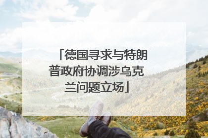 德国寻求与特朗普政府协调涉乌克兰问题立场