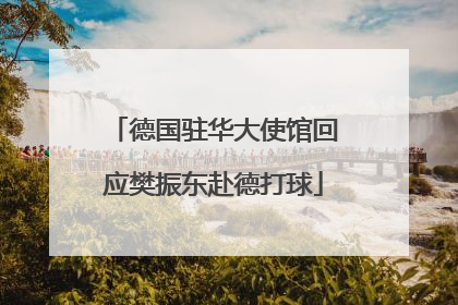 德国驻华大使馆回应樊振东赴德打球