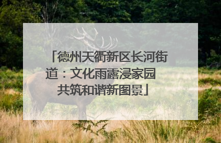 德州天衢新区长河街道：文化雨露浸家园 共筑和谐新图景