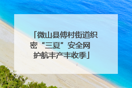微山县傅村街道织密“三夏”安全网 护航丰产丰收季