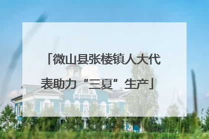 微山县张楼镇人大代表助力“三夏”生产