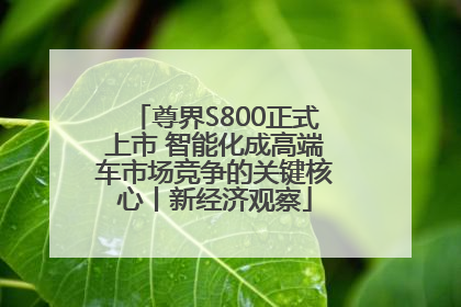 尊界S800正式上市 智能化成高端车市场竞争的关键核心丨新经济观察