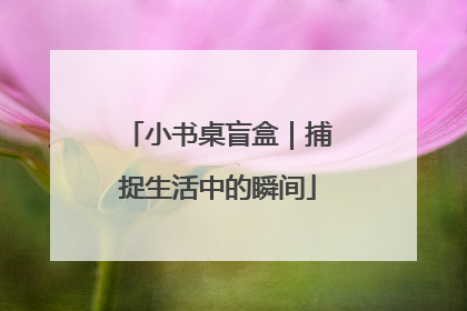 小书桌盲盒｜捕捉生活中的瞬间