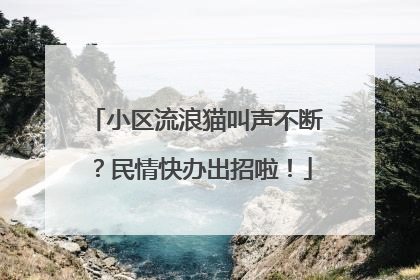 小区流浪猫叫声不断？民情快办出招啦！