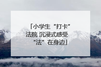 小学生“打卡”法院 沉浸式感受“法”在身边