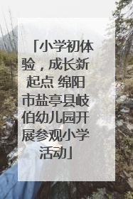 小学初体验，成长新起点 绵阳市盐亭县岐伯幼儿园开展参观小学活动