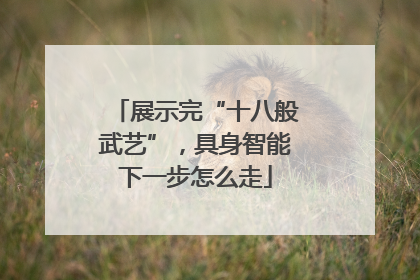 展示完“十八般武艺”，具身智能下一步怎么走