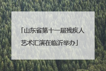 山东省第十一届残疾人艺术汇演在临沂举办