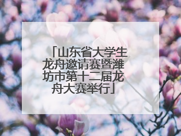 山东省大学生龙舟邀请赛暨潍坊市第十二届龙舟大赛举行