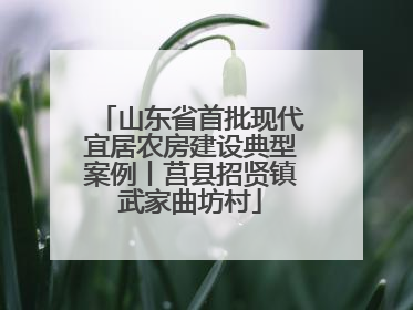 山东省首批现代宜居农房建设典型案例丨莒县招贤镇武家曲坊村