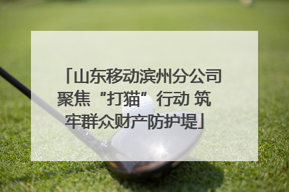 山东移动滨州分公司聚焦“打猫”行动 筑牢群众财产防护堤