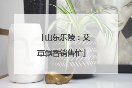 山东乐陵：艾草飘香销售忙
