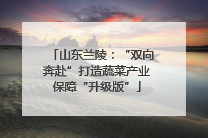 山东兰陵：“双向奔赴”打造蔬菜产业保障“升级版”