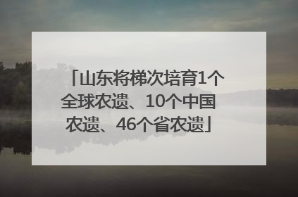 山东将梯次培育1个全球农遗、10个中国农遗、46个省农遗