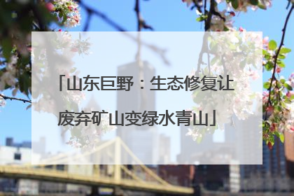 山东巨野：生态修复让废弃矿山变绿水青山