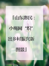 山东惠民：小绳网“织”出乡村振兴新图景