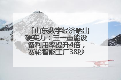 山东数字经济晒出硬实力：三一重能设备利用率提升4倍，赛轮智能工厂38秒生产一条轮胎