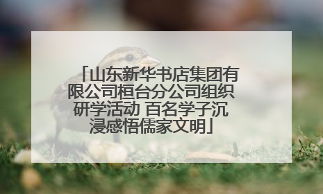 山东新华书店集团有限公司桓台分公司组织研学活动 百名学子沉浸感悟儒家文明