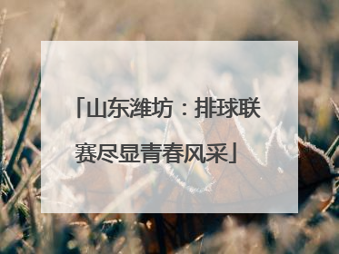 山东潍坊：排球联赛尽显青春风采