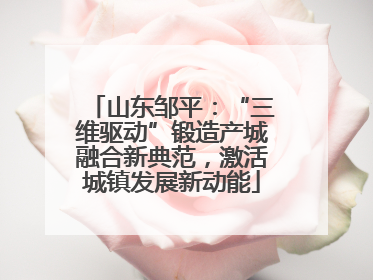 山东邹平：“三维驱动”锻造产城融合新典范，激活城镇发展新动能