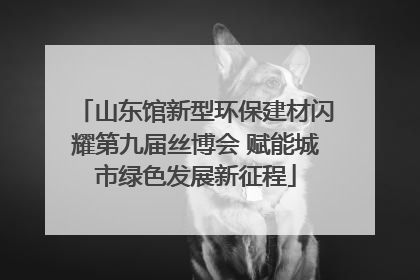 山东馆新型环保建材闪耀第九届丝博会 赋能城市绿色发展新征程