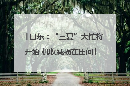 山东：“三夏”大忙将开始 机收减损在田间