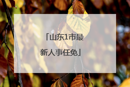 山东1市最新人事任免