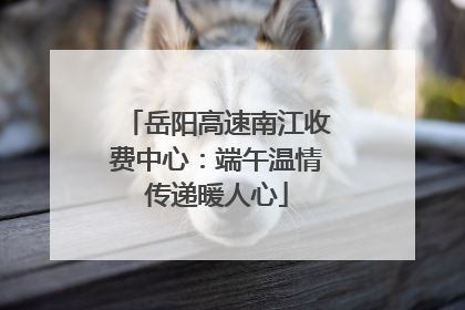 岳阳高速南江收费中心：端午温情传递暖人心