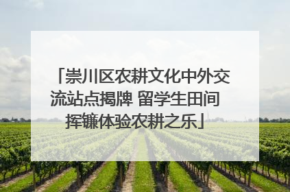 崇川区农耕文化中外交流站点揭牌 留学生田间挥镰体验农耕之乐